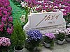 IMG_3690.JPG