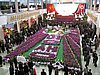 IMG_3696.JPG