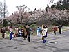 IMG_3708.JPG