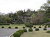 IMG_3710.JPG