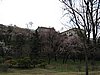 IMG_3711.JPG