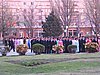 IMG_3731.JPG