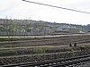 IMG_3759.JPG
