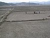 IMG_3761.JPG