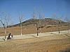 IMG_3764.JPG