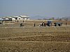 IMG_3767.JPG