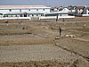 IMG_3769.JPG
