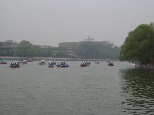 IMG_3825.JPG