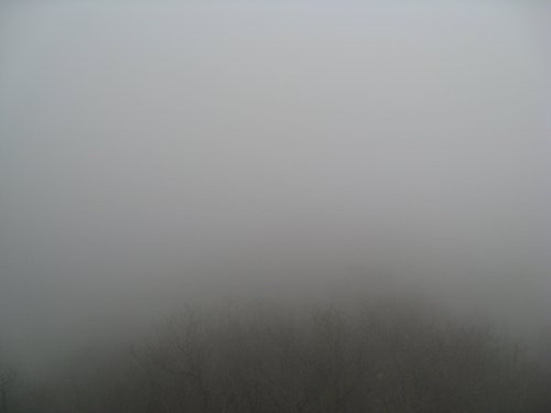 IMG_3864.JPG