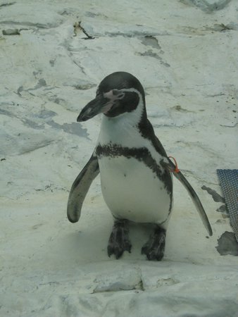 IMG_3919.JPG
