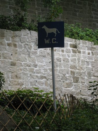 IMG_4011.JPG
