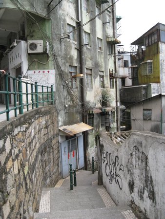IMG_4013.JPG