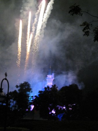 IMG_4242.JPG