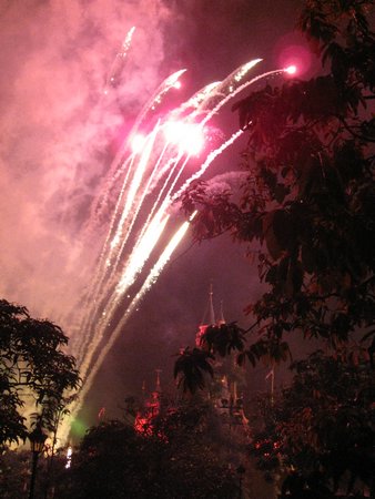 IMG_4249.JPG