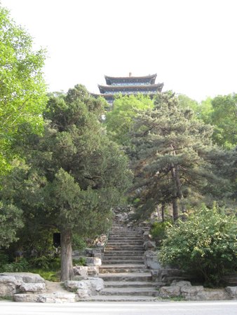IMG_4265.JPG
