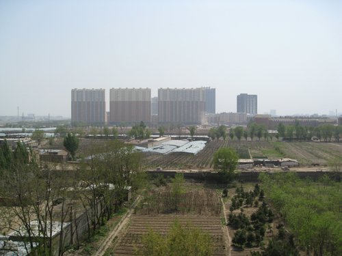 IMG_4279.JPG