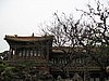 IMG_3800.JPG