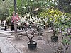 IMG_3801.JPG