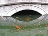 IMG_3805.JPG