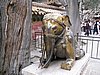 IMG_3806.JPG