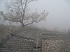IMG_3874.JPG