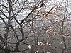 IMG_3876.JPG