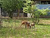 IMG_3913.JPG