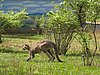IMG_3914.JPG