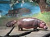 IMG_3917.JPG