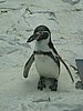 IMG_3919.JPG