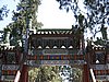 IMG_3951.JPG