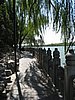IMG_3954.JPG