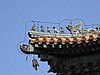 IMG_3967.JPG