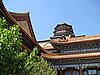 IMG_3981.JPG