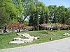 IMG_3990.JPG