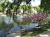 IMG_3992.JPG