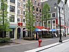 IMG_4035.JPG