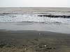 IMG_4041.JPG