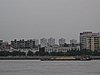 IMG_4075.JPG