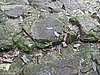 IMG_4098.JPG