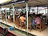 IMG_4115.JPG