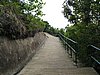 IMG_4151.JPG