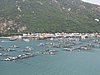 IMG_4155.JPG