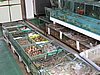 IMG_4160.JPG