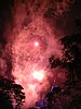 IMG_4247.JPG