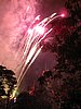IMG_4249.JPG