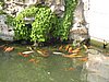 IMG_4260.JPG