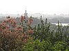 IMG_4267.JPG