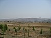 IMG_4276.JPG
