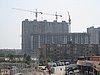 IMG_4282.JPG